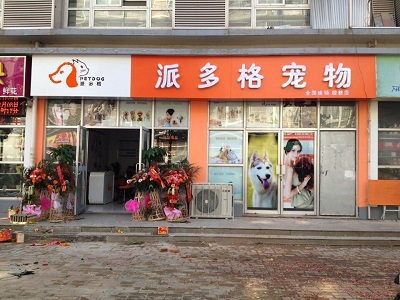 开宠物美容店需要什么手续|派多格宠物连锁加