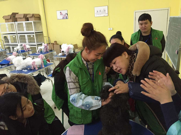 QQ图片20151228150053.jpg