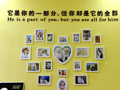 宠物店店内图42.jpg