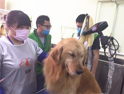 QQ截图20160422144339.png
