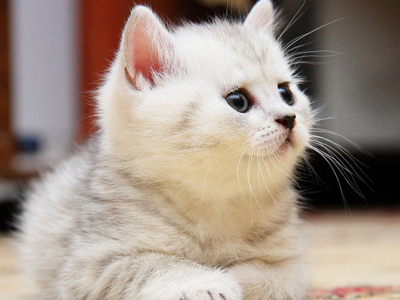 1463472167426995.jpg 79-131215151508.jpg