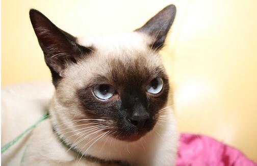 1467880038607406.jpg 15999.jpg