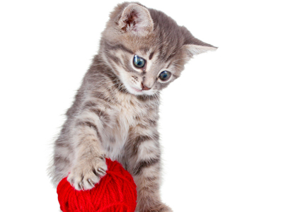 1471328973543375.jpg 2786001_151345979000_2.jpg