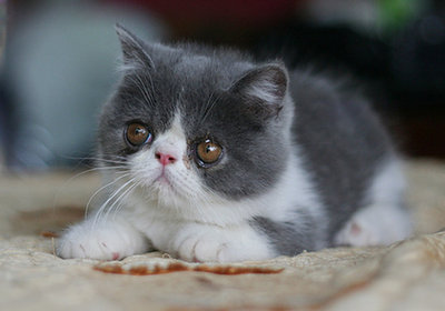 1473408551930411.jpg 597601_2.jpg