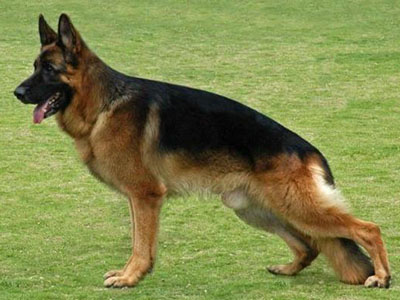langgou1.jpg