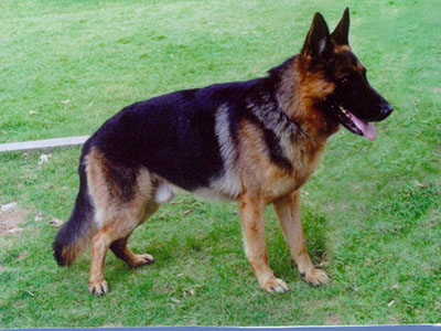 langgou2.jpg