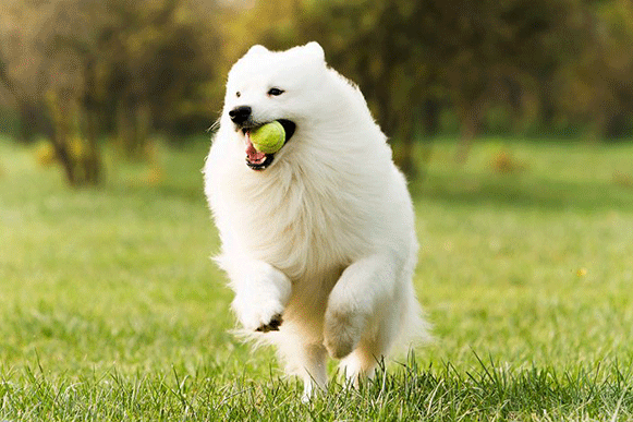 mjhgftyuiop[].gif