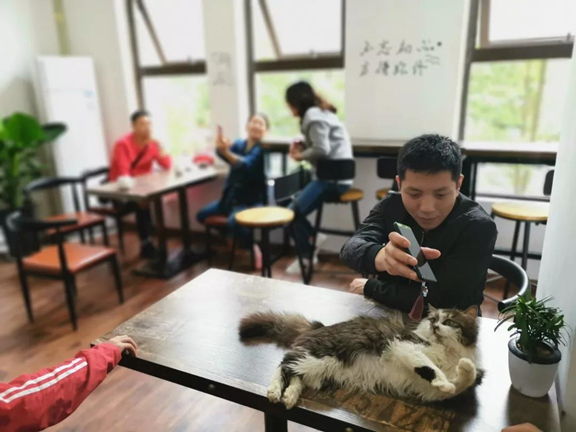 1557909536893681.jpg 微信图片_20190515163634.jpg