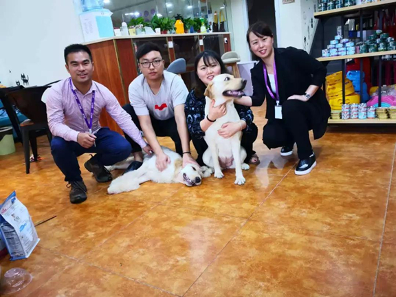 微信图片_20190519151307.jpg