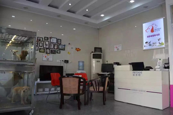 武汉开宠物店加盟投资多少合适？