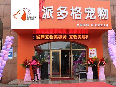 开宠物店进货方式