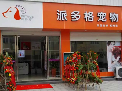 新手开宠物店会遇到的问题有哪些？