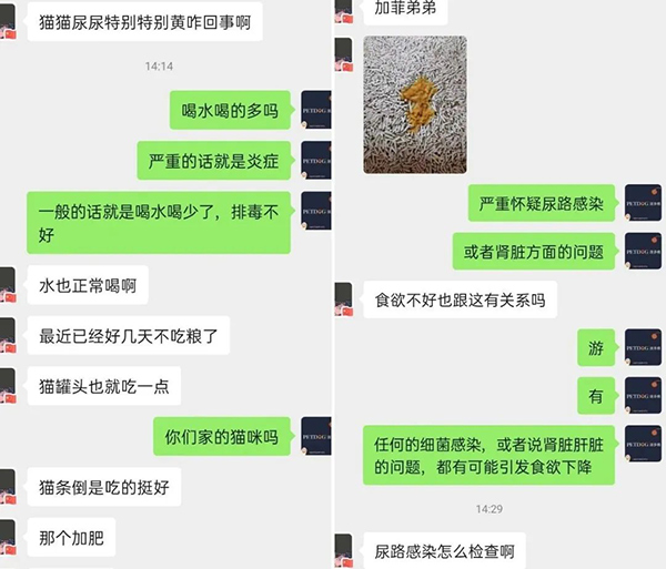 640-(3).jpg