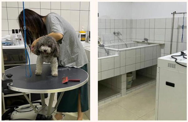 1662717679800969.jpg QQ截图20220909174457.jpg