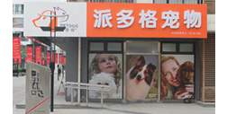 开宠物店