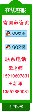 派多格宠物