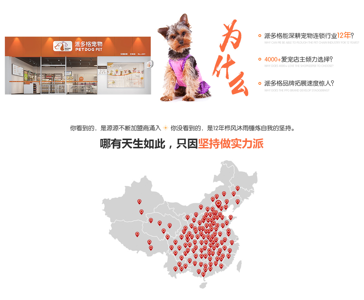 我县城区养犬具体有什么要求？哈希娱乐- 哈希游戏平台- 哈希游戏官方网站